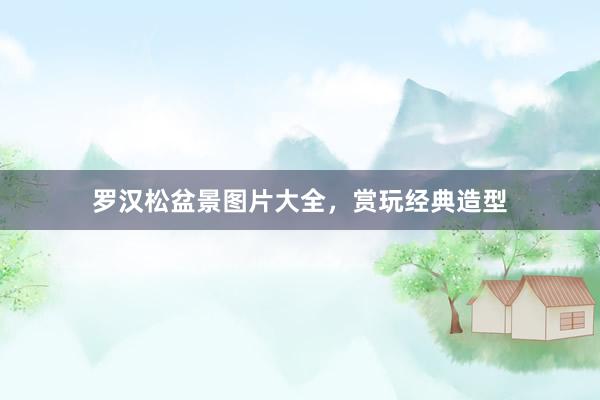 罗汉松盆景图片大全，赏玩经典造型