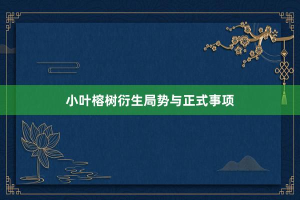 小叶榕树衍生局势与正式事项