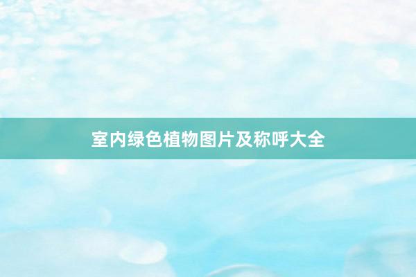 室内绿色植物图片及称呼大全