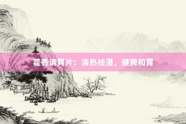 藿香清胃片：清热祛湿，健脾和胃