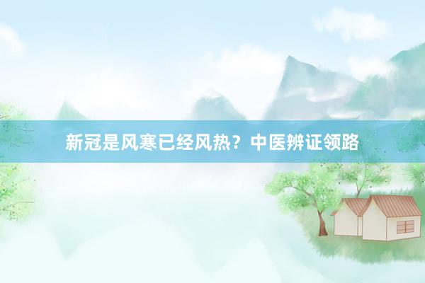 新冠是风寒已经风热？中医辨证领路